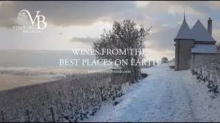 Vineyard Brands on TALK BUSINESS 360 TV
