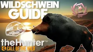 WILDSCHWEIN GREAT ONE GUIDE AUF CUATRO COLLINAS! | theHunter Call of the Wild