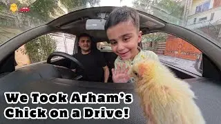 We Took Arham’s Chick on a Drive! 🐥🚗 | Dad and Son Daily Outdoor Vlogs