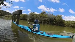 Awaroa River paddle 26/11/2025