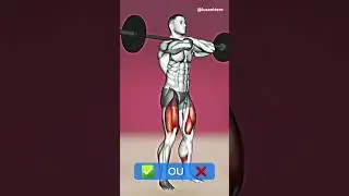 Um dos melhores exerc&iacute;cios para seu treino de perna #agachamento #muscula&ccedil;&atilde;o #fitness #treino #gym