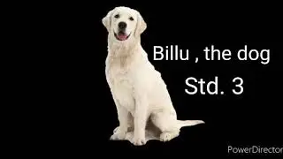 Billu , the dog Kerala English Reader.. Std 3