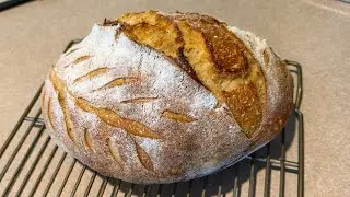 Sourdough Basics