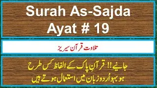 Surah As-Sajda Ayat 19 With Urdu Translation 3 times for Memorization | CEF 9 | Quran & Science
