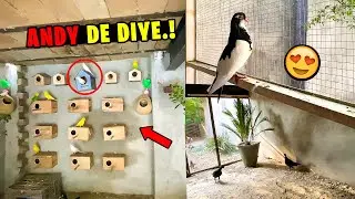 Mini Zoo Par Parrots Ne Anday De Diye 😍❤️ | Dehati Mamu