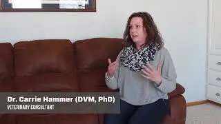 Why Perfect Nutrition Isn't Enough | WINPRO Pet