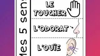 LES CINQ SENS 🤗