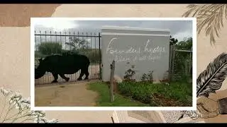 Eco-Tourism - A story of inspiration & legacy