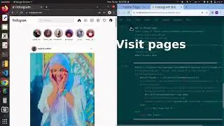 Automate Everything! Making an Instagram bot using Python, HTML and Selenium: Demo