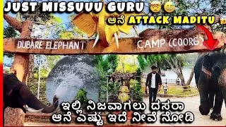 JUST MISS GURUU.🐘.|| DUBARE ELEPHANT CAMP : a day with elephants | ದಸರಾ ಆನೆಗಳು 🐘 