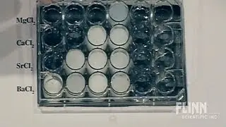 Solubility Patterns