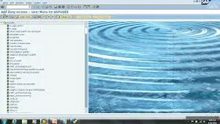 Day25 SAP BW: Reporting Formula Var Replacement Path