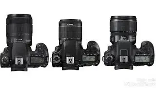 Canon eos 90D vs eos 80D vs 7D Mark ll
