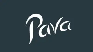 Pava A Satin Torrified mandolin