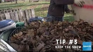 5 Tips For Winter Composting