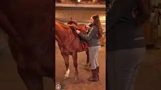 Tipp#7:Richtig satteln #horse #westernreiten #equestrian #pferde #reitenlernen #sattel #americana
