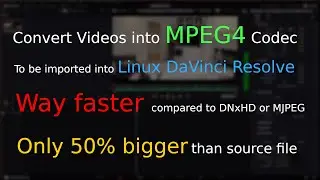 Convert Videos to be imported into Linux DaVinci Resolve | convert into MPEG4 using FFmpeg (QWinFF)