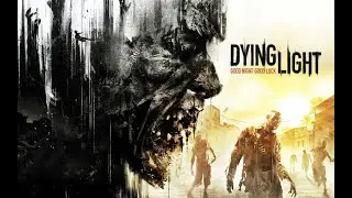 Dying Light: Definitive 10th Anniversary Edit #9