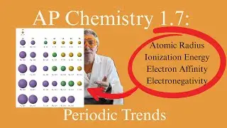 AP Chem 1.7- Master The Periodic Trends