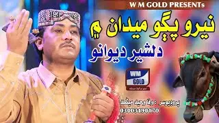 Nero Pujho Medan Me /Dilsher Dewano WM GOLD New Eid Album 786 Trending Chapri Yakhtaro song
