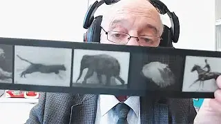 Анимации Мейбриджа