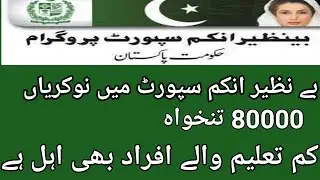 Benazir income support program job of 2025// Irshad point tech job update