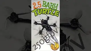 @Sub250gFPV Baby Turtle 2.5 best drone for park and garden @DJI o4 lite @flywoofpv lens