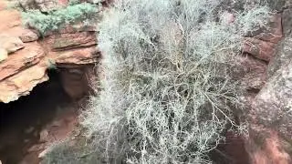 Visiting a sink hole in Sedona
