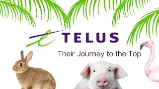 The Rise of Telus: Their Journey to the Top!