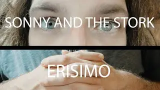 Sonny and the Stork - Erisimo (Official Video)