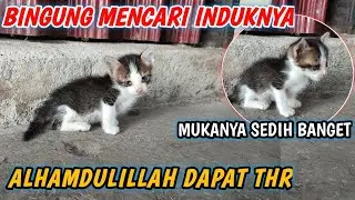 ASTAGHFIRULLAH , NIAT MAU KASIH KUCING PASAR THR KOK JADI BEGINI !!