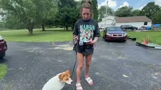 Dog Mom Secret: This Running Belt with Detachable Water Bottle Fixed My Walk Chaos!