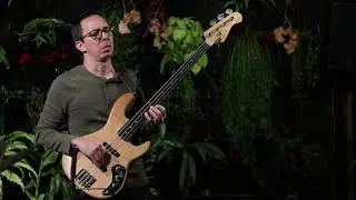 Brigas nunca mais - Hamilton Pinheiro Trio