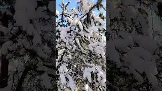 О чистоте сознания #композитор #вибрации #бог #сознание