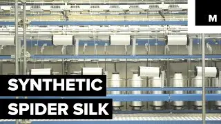 Synthetic Spider Silk