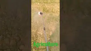 agriculture status bsc agriculture education students