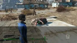 Fallout 4, mod Hermit  Crab?