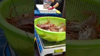Seafood cepat saji