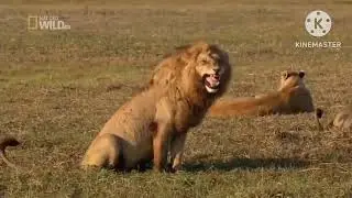 My sister funny Karate video 🤣