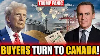 U.S Wheat COLLAPSES! 128,800 Tons REJECTED As Canada SEIZES $1.2B Global Market!