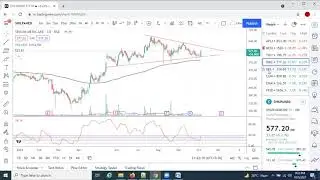 SHILPAMED,UPL,CUMMINSIND and EMAMILTD