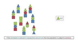 What is evolution? - Complex System Simulation and Artificial Life