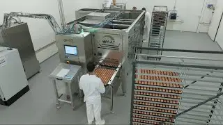Cheggy Zoom &ndash; Geslachtsbepaling in het ei bij bruine legrassen