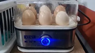 Kent egg boiler