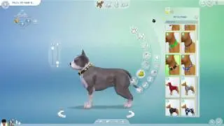 Sims 4 Cats & Dogs - Making an American Bully