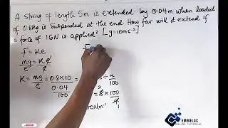 How To Calculate The Extension in Elasticity Physics