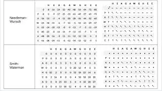 Pairwise Sequence Alignment (part 3)
