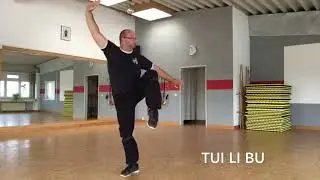 shaolin basic STANCES and five stance form wu bu quan