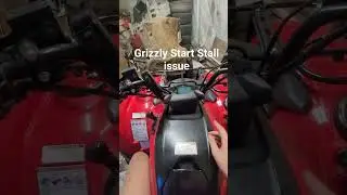 Yamaha Grizzly Start Stall issue