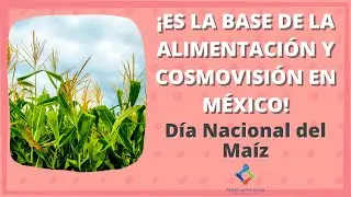 29 de Septiembre, Día Nacional del Maíz